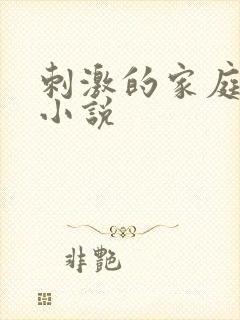 刺激的家庭乱仑小说封面