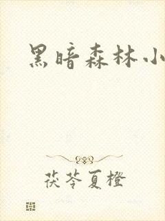 黑暗森林小说