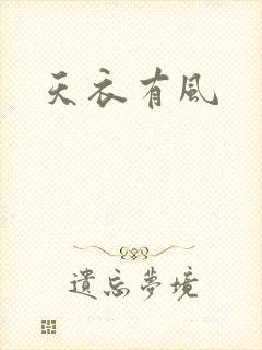 天衣有风封面