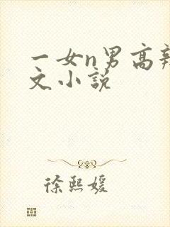 一女n男高辣h文小说