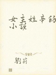 女主姓辛的现代小说