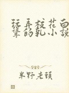 玩弄校花白嫩高耸的乳小说