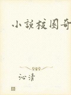 小说校园奇侠