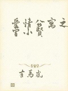 爱情公寓之极品曾小贤