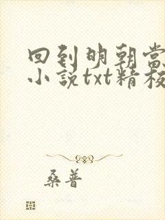 回到明朝当王爷小说txt精校版封面