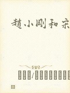 赵小刚和宋雨晴封面