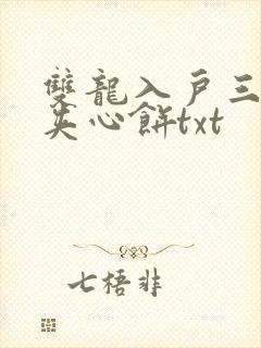 双龙入户三人行夹心饼txt