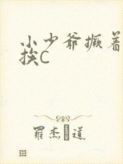 小少爷撅着屁股挨C封面