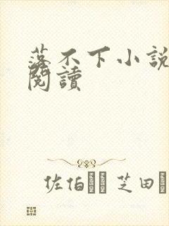 落不下小说免费阅读封面