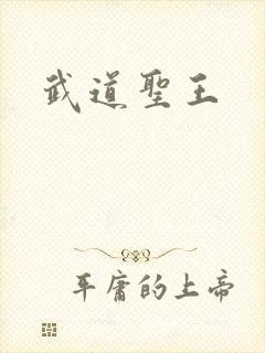 武道圣王