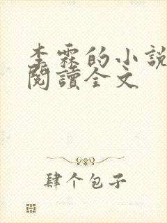 李霖的小说免费阅读全文