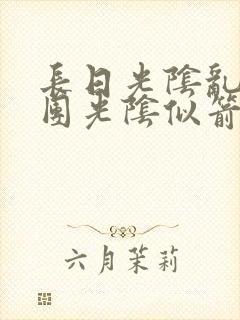 长日光阴乱作一团光阴似箭笔趣阁最新类似