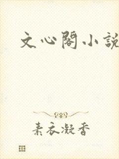 文心阁小说