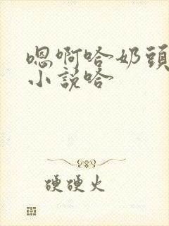 嗯啊哈奶头别摸小说哈封面