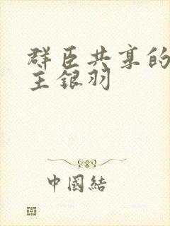 群臣共享的小公主银羽封面