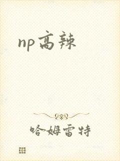 np高辣