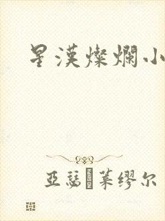 星汉灿烂小说