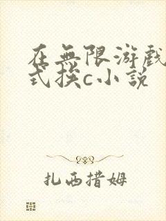 在无限游戏里花式挨c小说封面