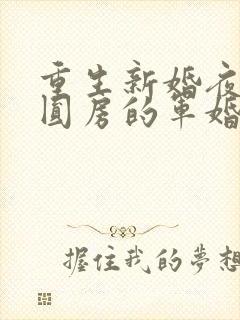 重生新婚夜正在圆房的军婚