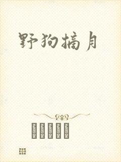 野狗摘月