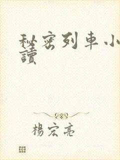 秘密列车小说阅读