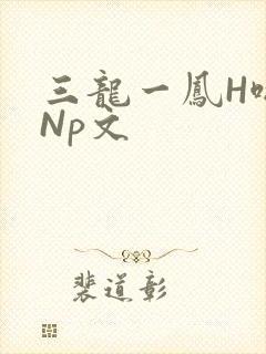 三龙一凤H啪肉Np文