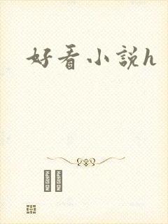 好看小说h