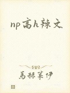 np高h辣文