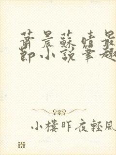 萧晨苏晴最新章节小说笔趣阁封面