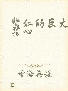 紫红的巨大顶开花心