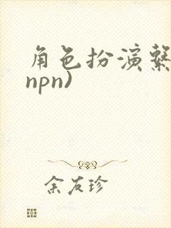 角色扮演系统(npn)