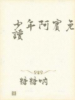 少年阿宾免费阅读封面