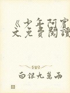 《少年阿宾》全文免费阅读