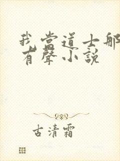 我当道士那些年有声小说封面