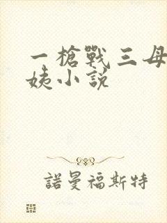 一枪战三母2雪姨小说