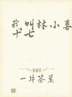 我叫林小喜今年十七