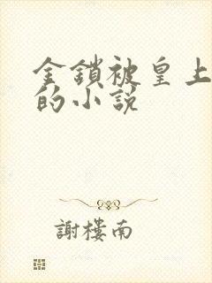 金锁被皇上宠幸的小说