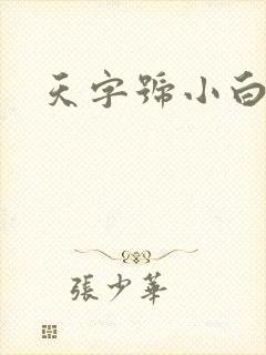 天字号小白脸封面