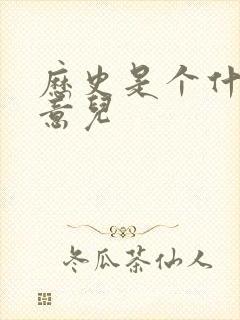 历史是个什么玩意儿