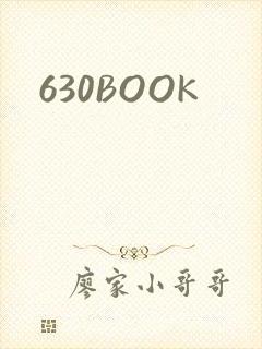 630BOOK封面