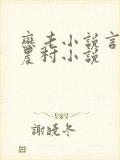 恋老小说言情网农村小说