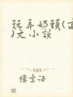 玩弄奶头(高h)文小说