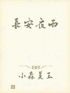 长安夜雨