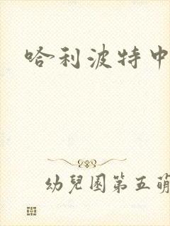 哈利波特中文版