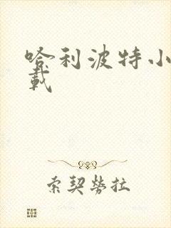 哈利波特小说下载封面