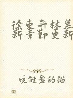 徐东升林慕婉最新章节更新免费阅读