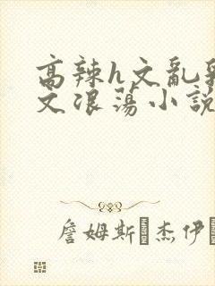 高辣h文乱乳h文浪荡小说苏媚