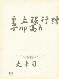 皇上强行糟蹋太子np高h封面