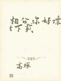 相公你好坏txt下载