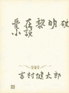 爱在黎明破晓前小说